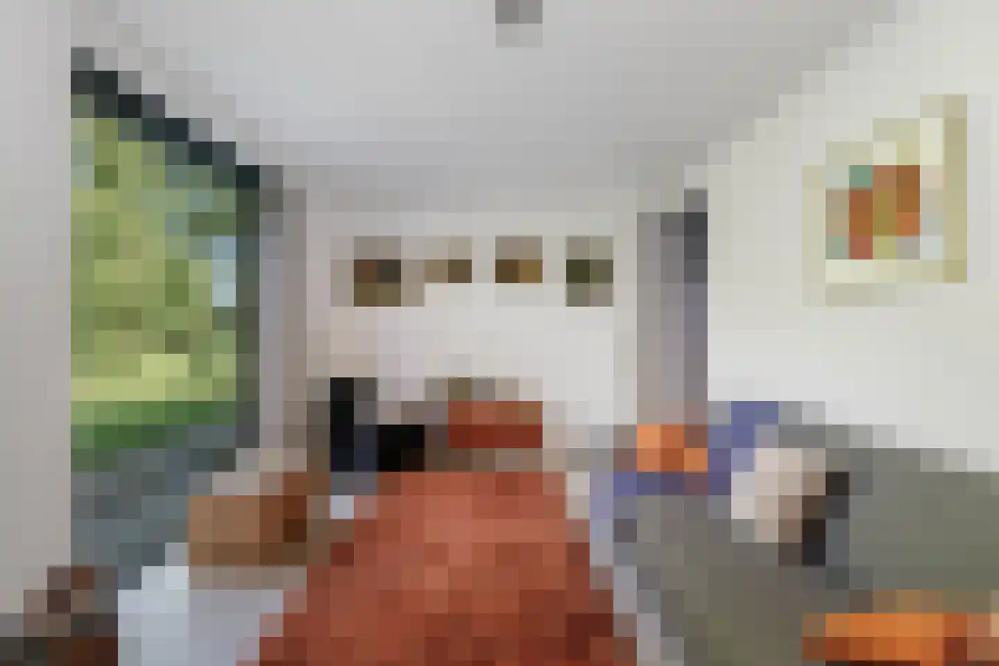 Kleidijk 4 b Diepenheim thumbnail 33