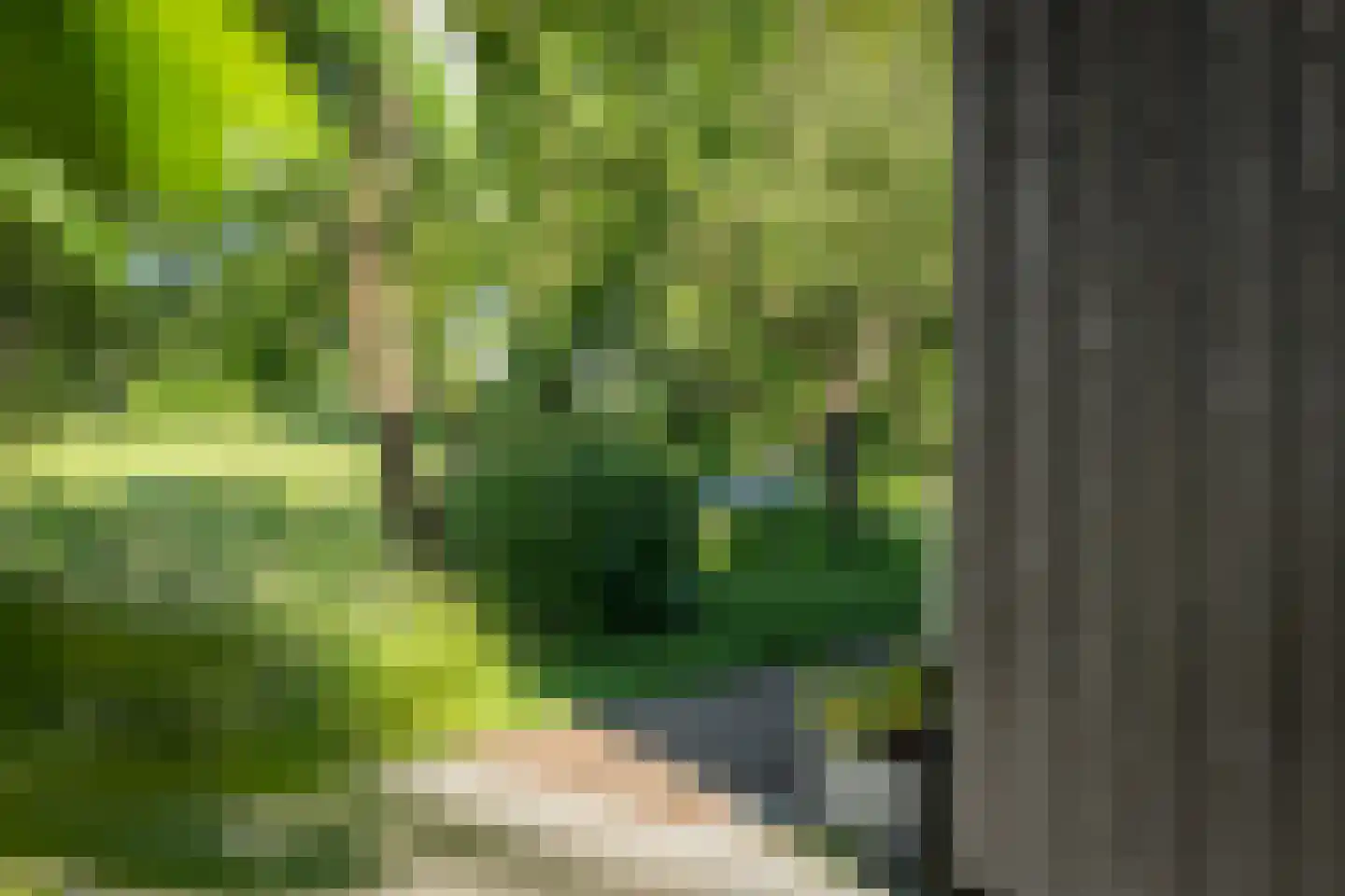 Kleidijk 4 b Diepenheim thumbnail 39