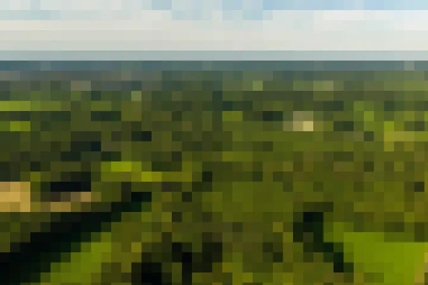 Kleidijk 4 b Diepenheim thumbnail 57