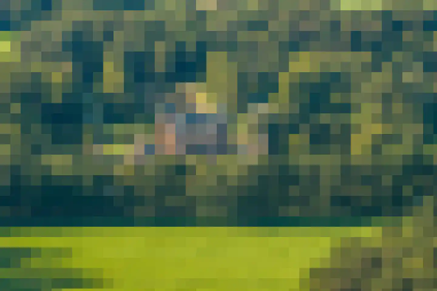 Kleidijk 4 b Diepenheim thumbnail 59