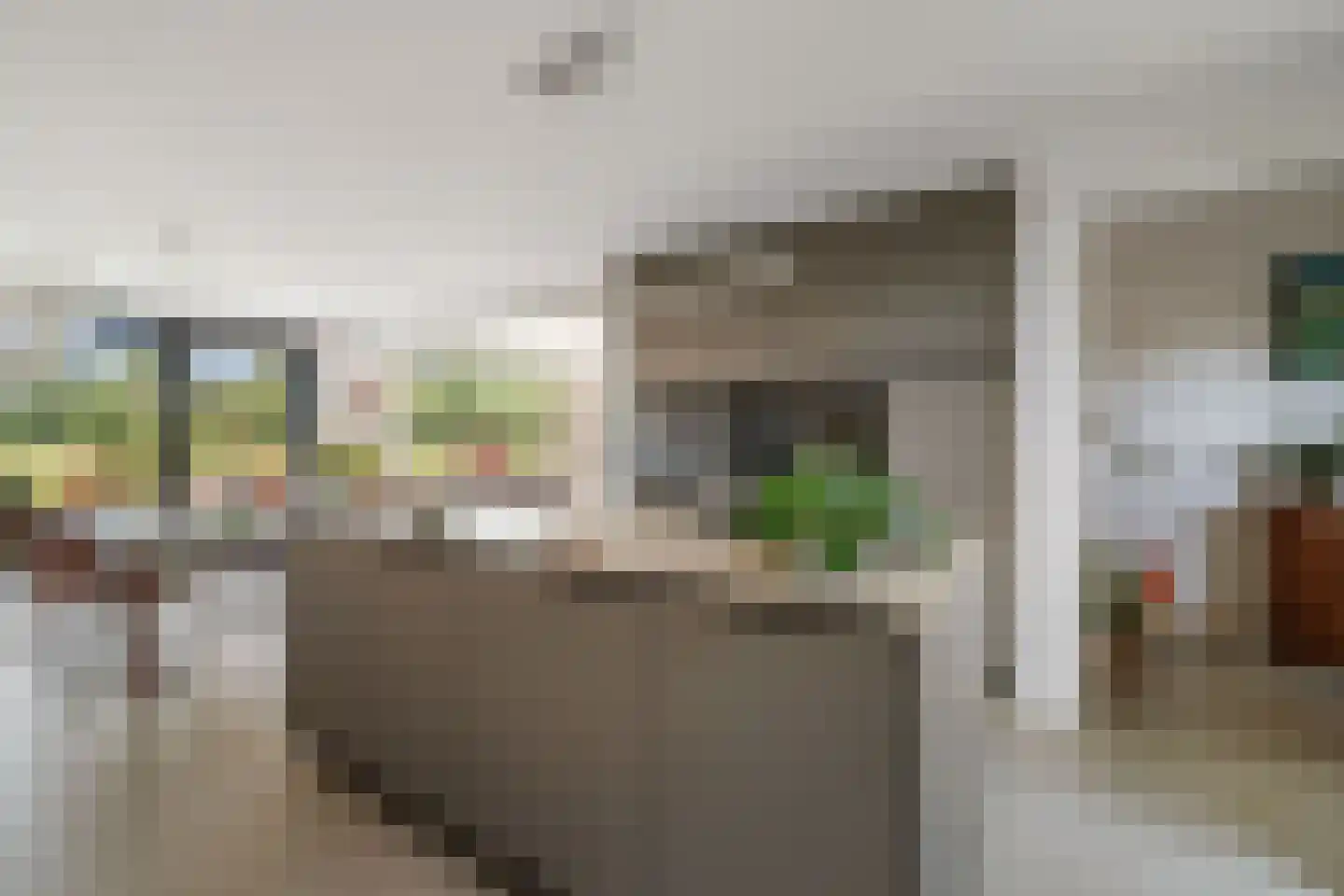 Kleidijk 4 b Diepenheim thumbnail 6