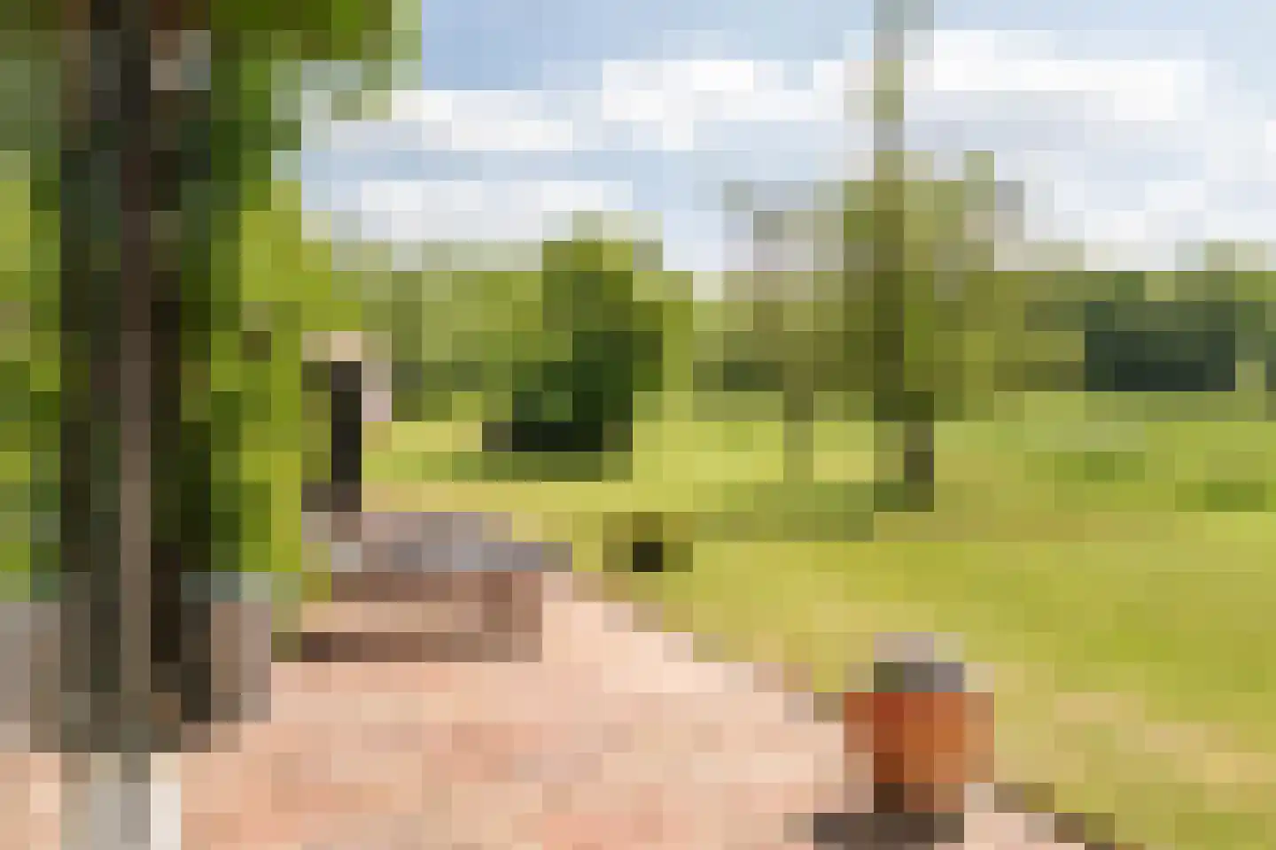 Kleidijk 8 Diepenheim thumbnail 11