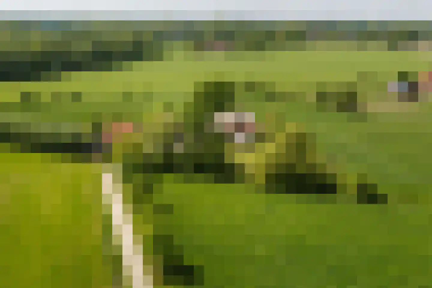 Kleidijk 8 Diepenheim thumbnail 19