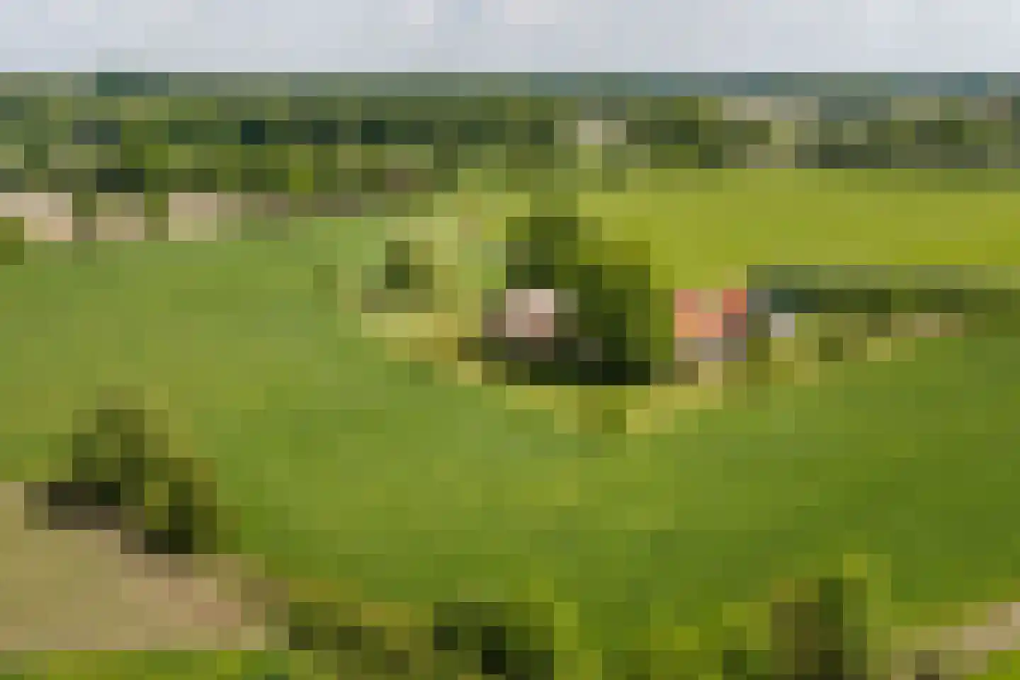 Kleidijk 8 Diepenheim thumbnail 20