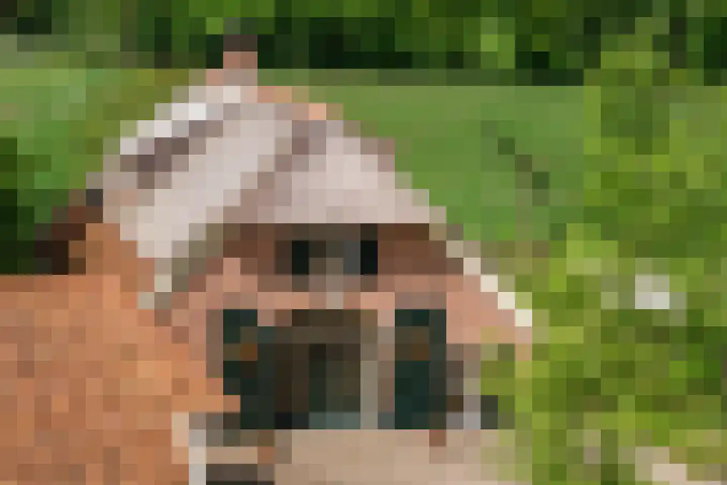 Kleidijk 8 Diepenheim thumbnail 22