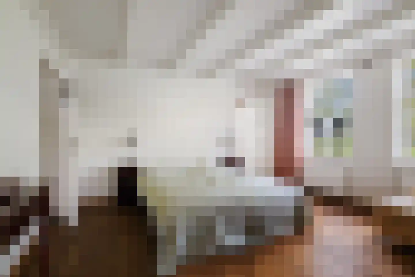 Kleidijk 8 Diepenheim thumbnail 30