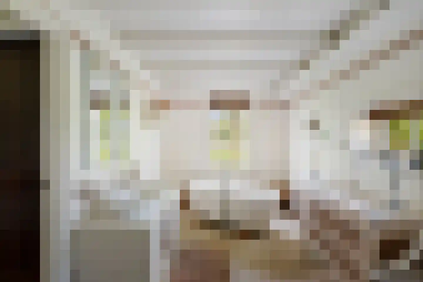 Kleidijk 8 Diepenheim thumbnail 32