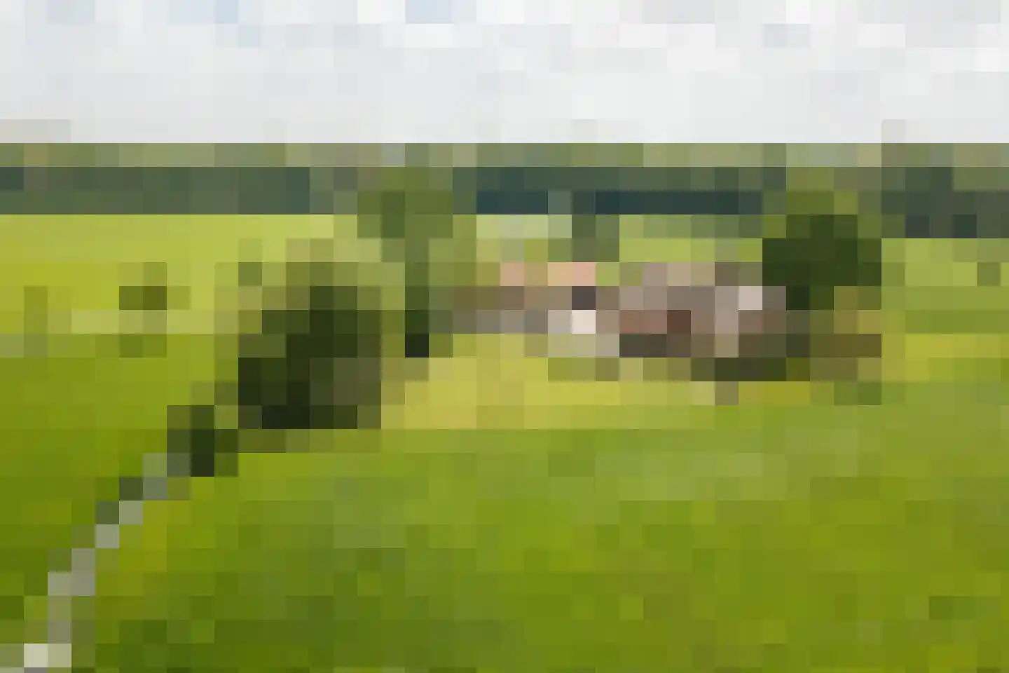 Kleidijk 8 Diepenheim thumbnail 40