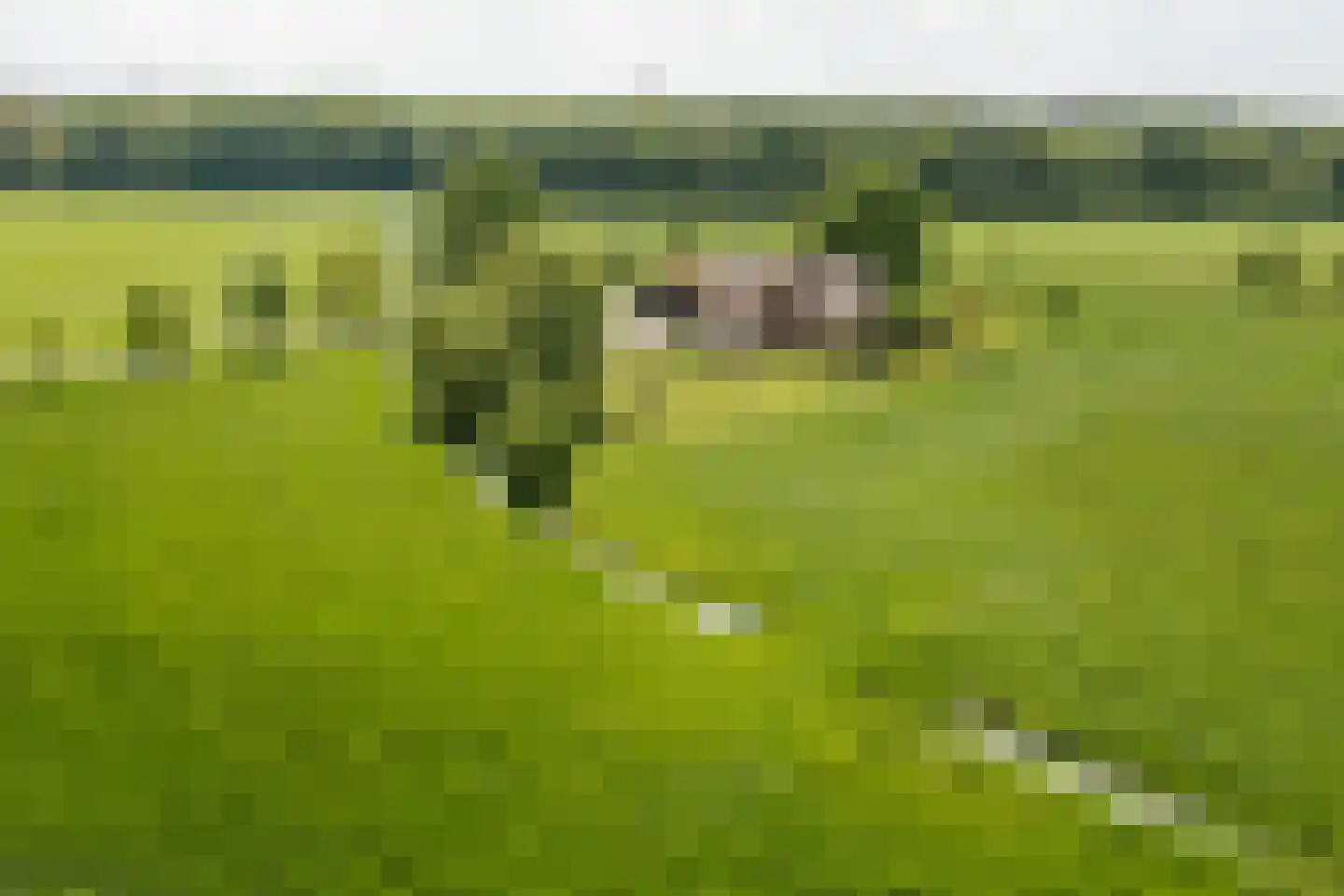 Kleidijk 8 Diepenheim thumbnail 41