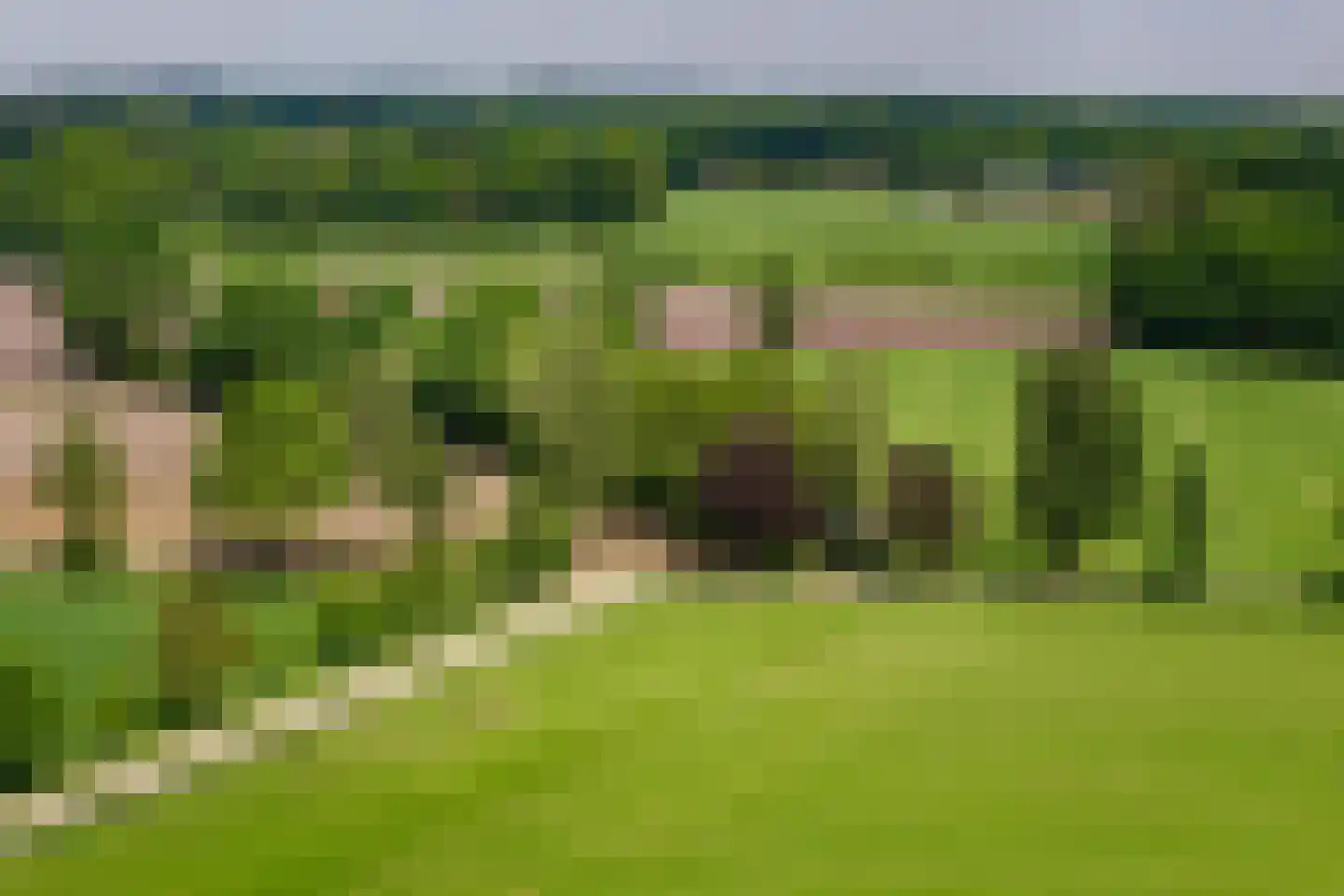 Kleidijk 8 Diepenheim thumbnail 44