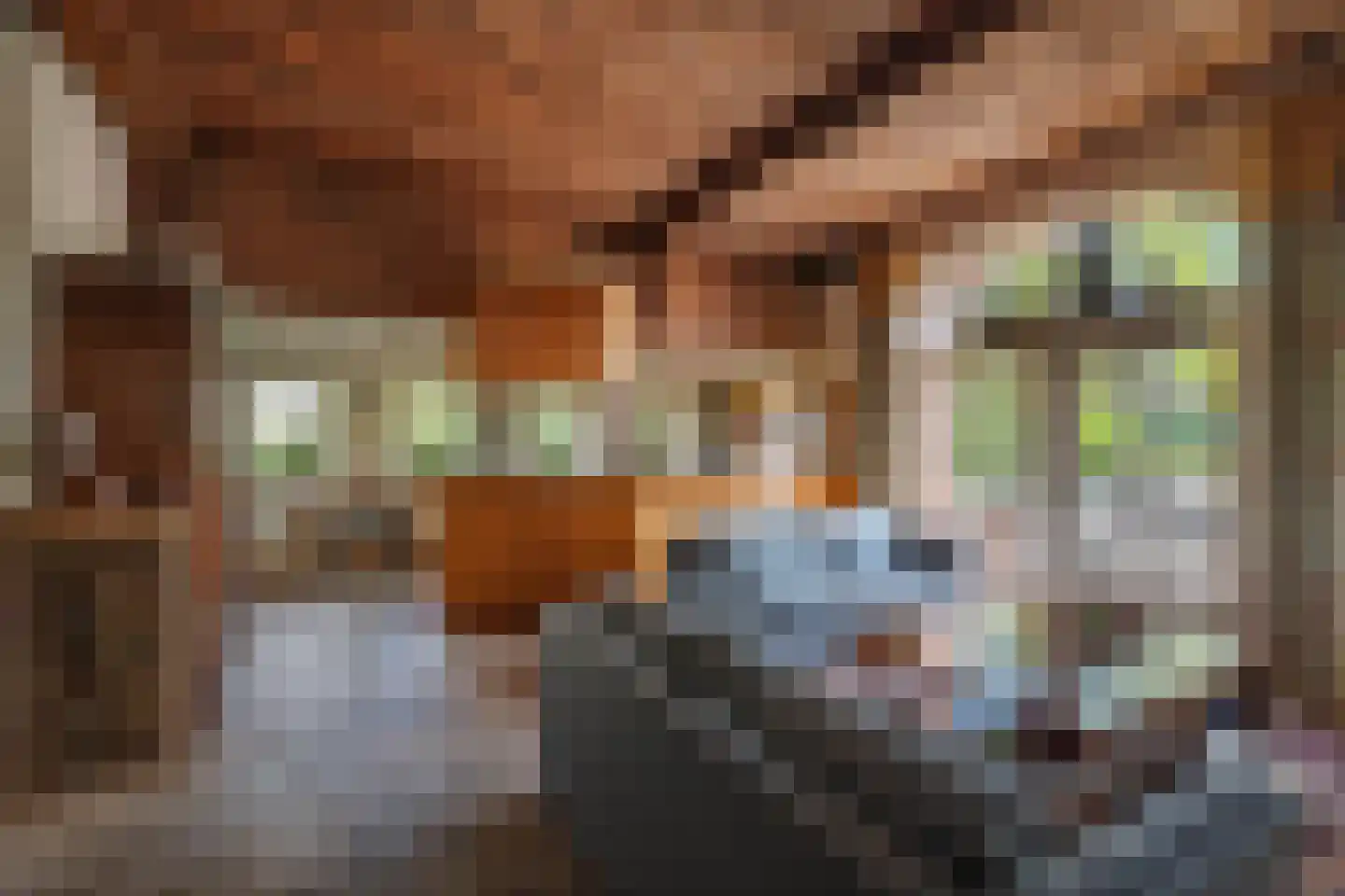 Kleidijk 8 Diepenheim thumbnail 6