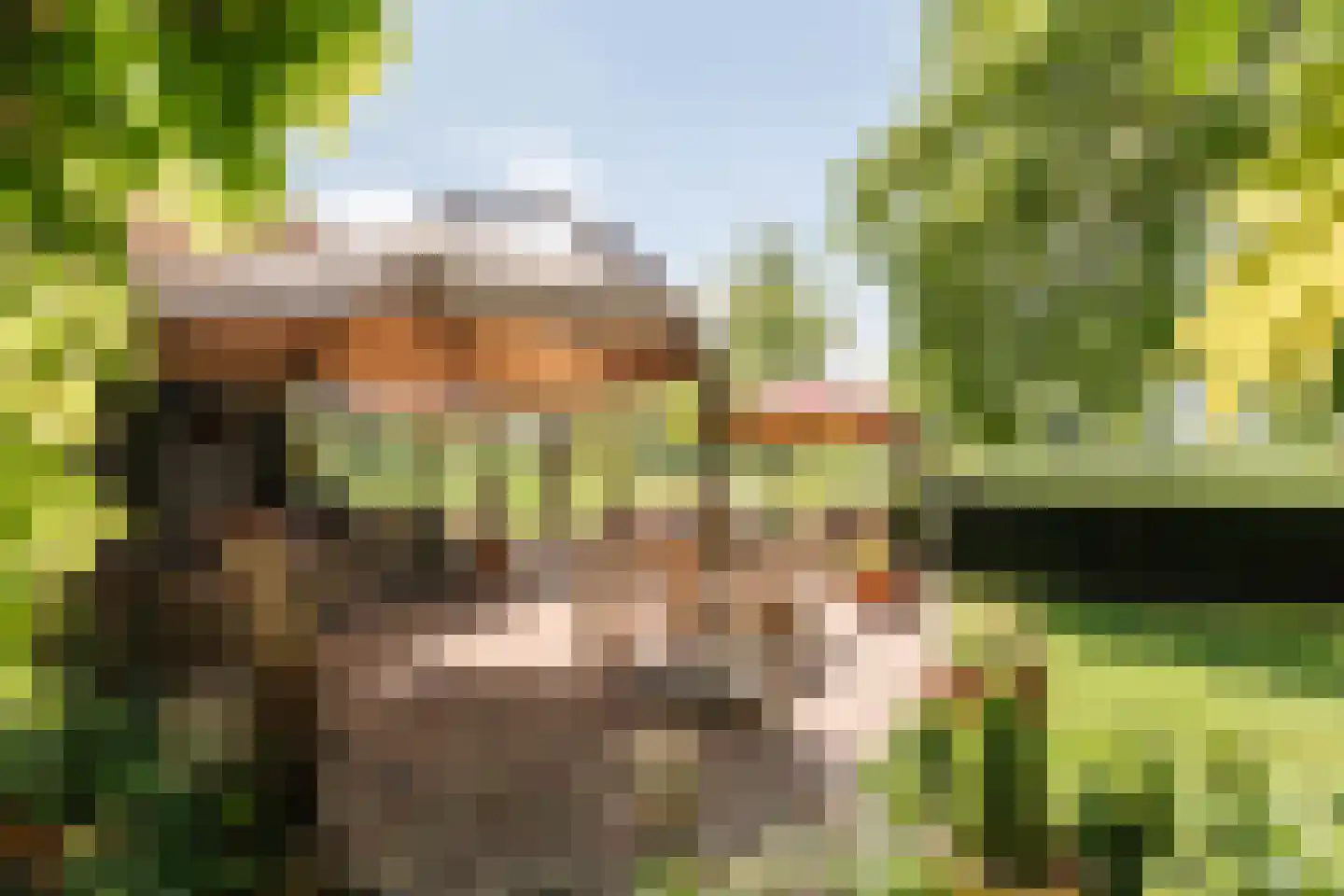 Kleidijk 8 Diepenheim thumbnail 7