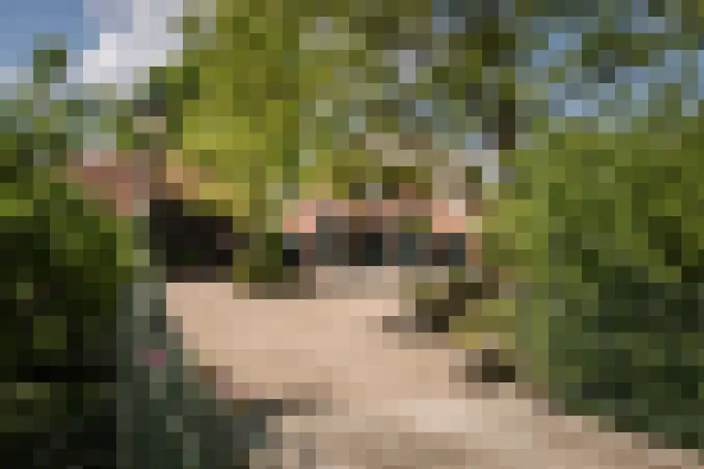 Kleidijk 8 Diepenheim thumbnail 8
