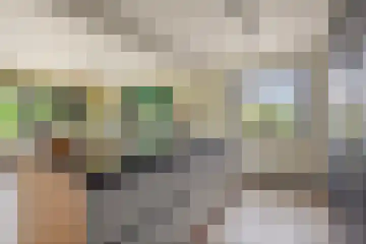 Kleidonk 19 Beuningen Gld thumbnail 11