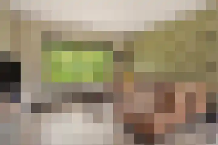 Kleidonk 19 Beuningen Gld thumbnail 14