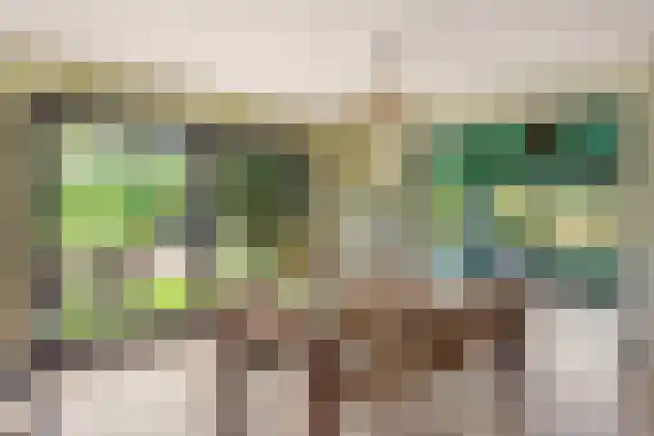 Kleidonk 19 Beuningen Gld thumbnail 15