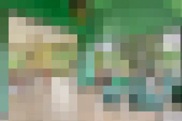 Kleidonk 19 Beuningen Gld thumbnail 17