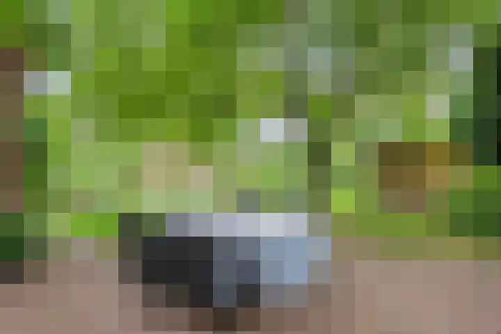 Kleidonk 19 Beuningen Gld thumbnail 20