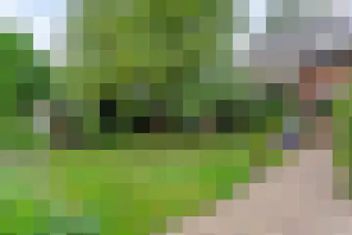 Kleidonk 19 Beuningen Gld thumbnail 21