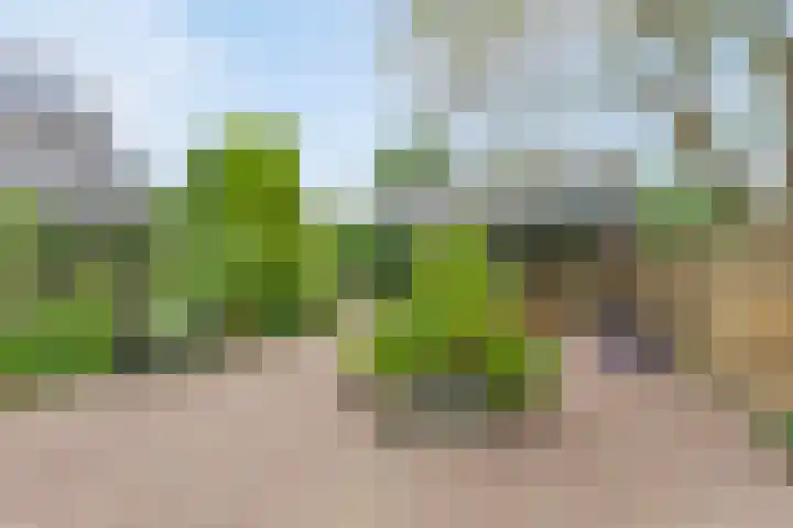 Kleidonk 19 Beuningen Gld thumbnail 23