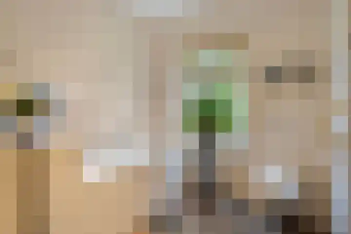 Kleidonk 19 Beuningen Gld thumbnail 26