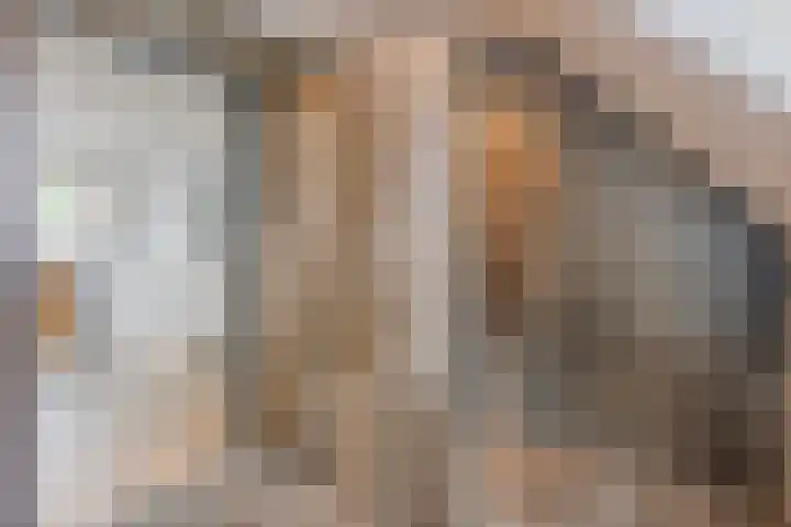 Kleidonk 19 Beuningen Gld thumbnail 35