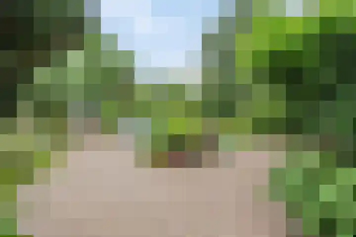 Kleidonk 19 Beuningen Gld thumbnail 42