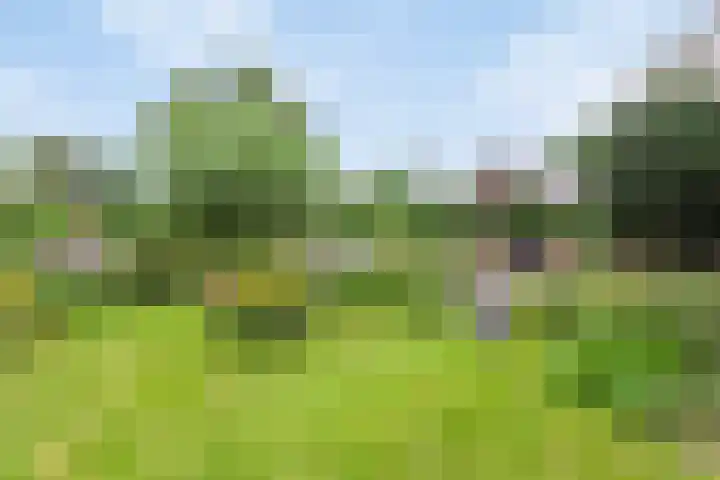 Kleidonk 19 Beuningen Gld thumbnail 43