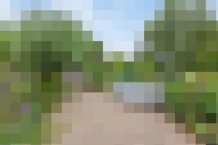 Kleidonk 19 Beuningen Gld thumbnail 45