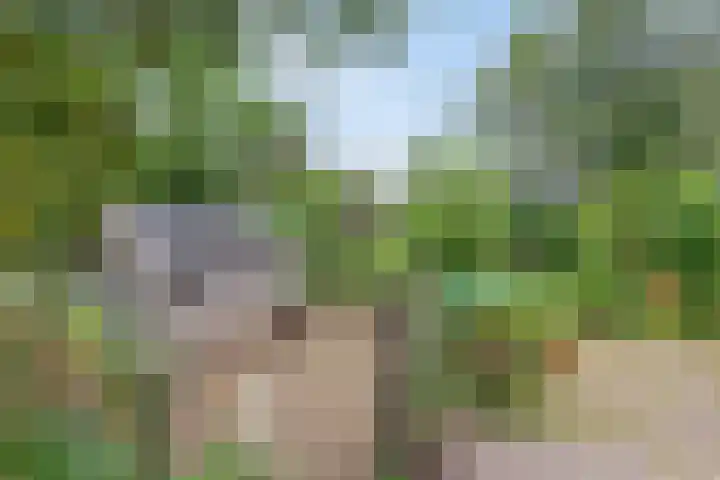 Kleidonk 19 Beuningen Gld thumbnail 46