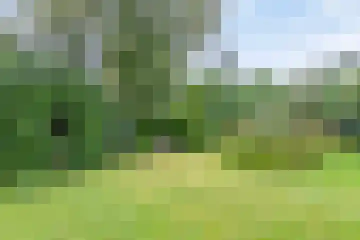 Kleidonk 19 Beuningen Gld thumbnail 47