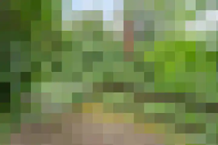 Kleidonk 19 Beuningen Gld thumbnail 48