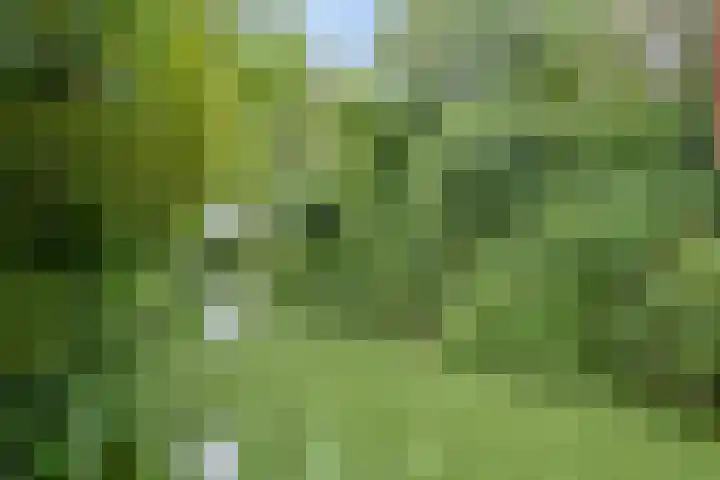 Kleidonk 19 Beuningen Gld thumbnail 49