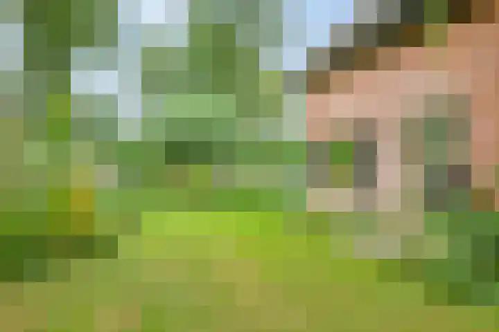 Kleidonk 19 Beuningen Gld thumbnail 5