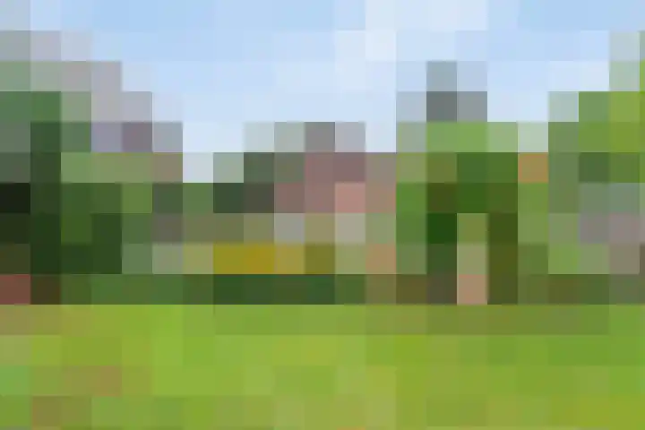 Kleidonk 19 Beuningen Gld thumbnail 50