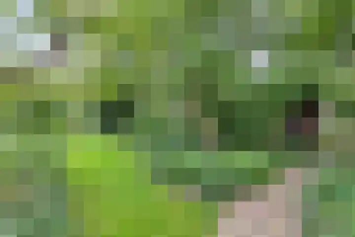 Kleidonk 19 Beuningen Gld thumbnail 52