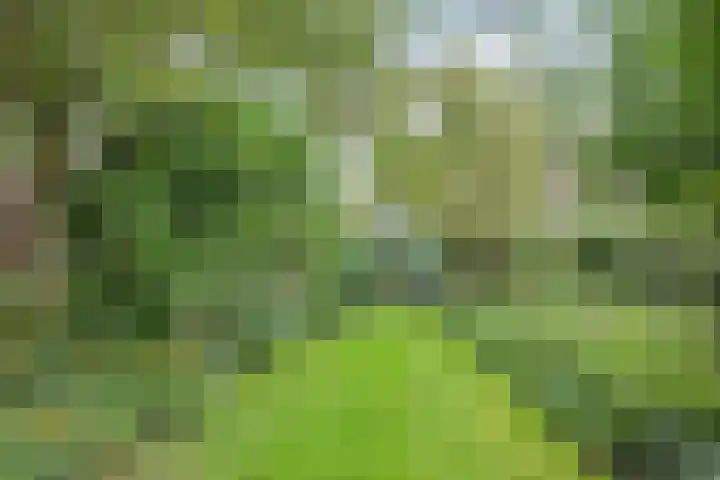 Kleidonk 19 Beuningen Gld thumbnail 53
