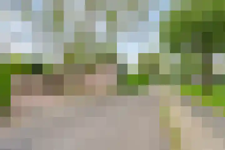 Kleidonk 19 Beuningen Gld thumbnail 54
