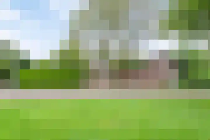 Kleidonk 19 Beuningen Gld thumbnail 55
