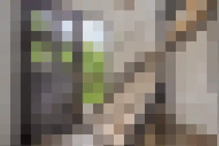 Kleidonk 19 Beuningen Gld thumbnail 6