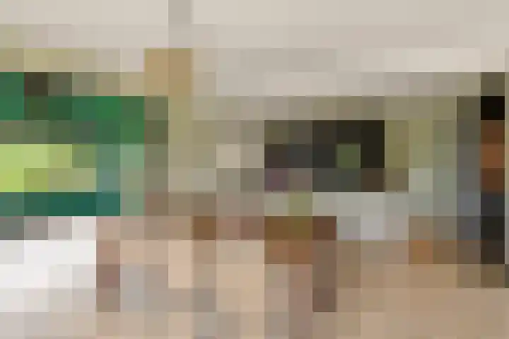 Kleidonk 19 Beuningen Gld thumbnail 8