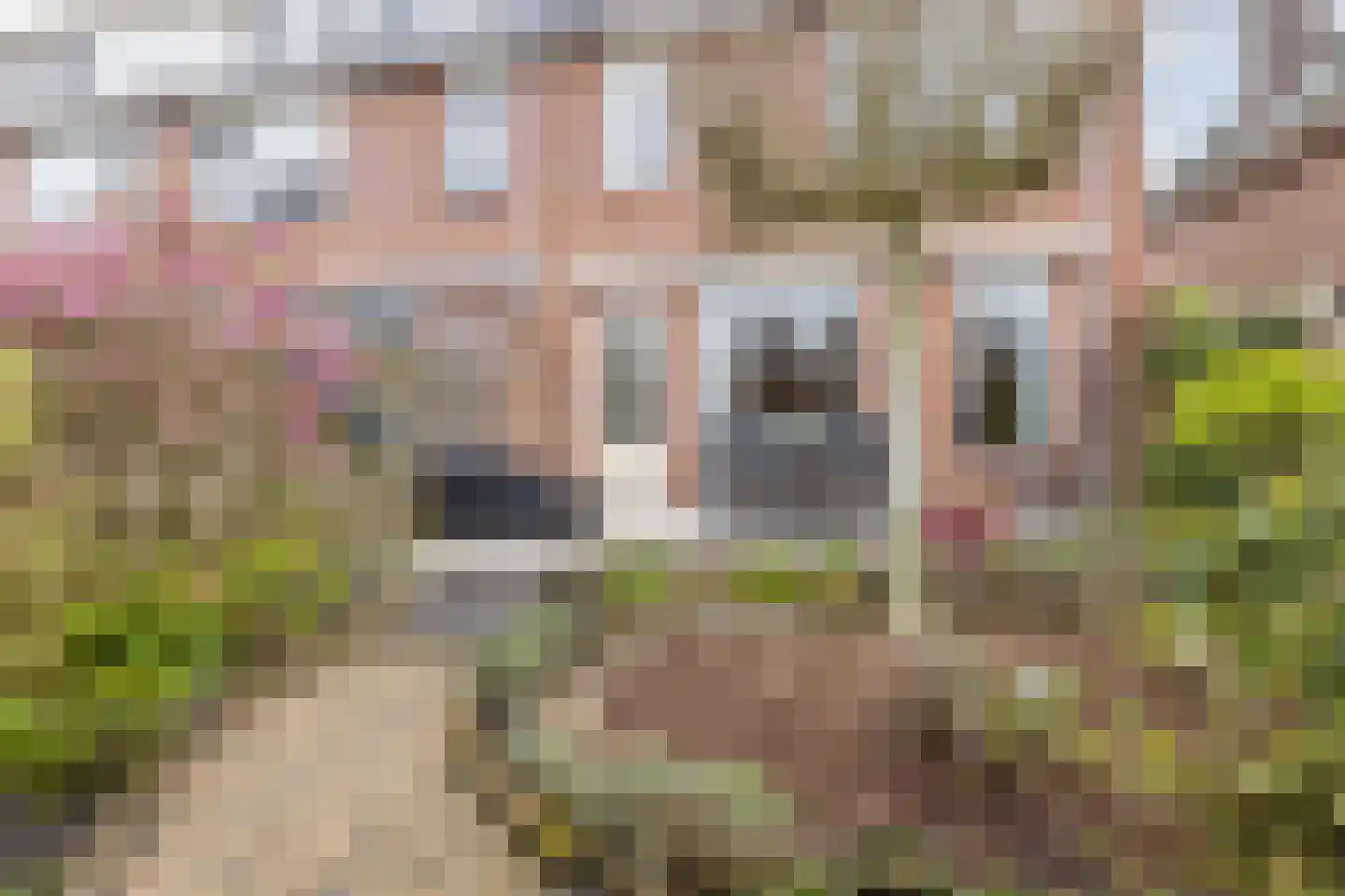 Kleienburg 49 Bodegraven thumbnail 64