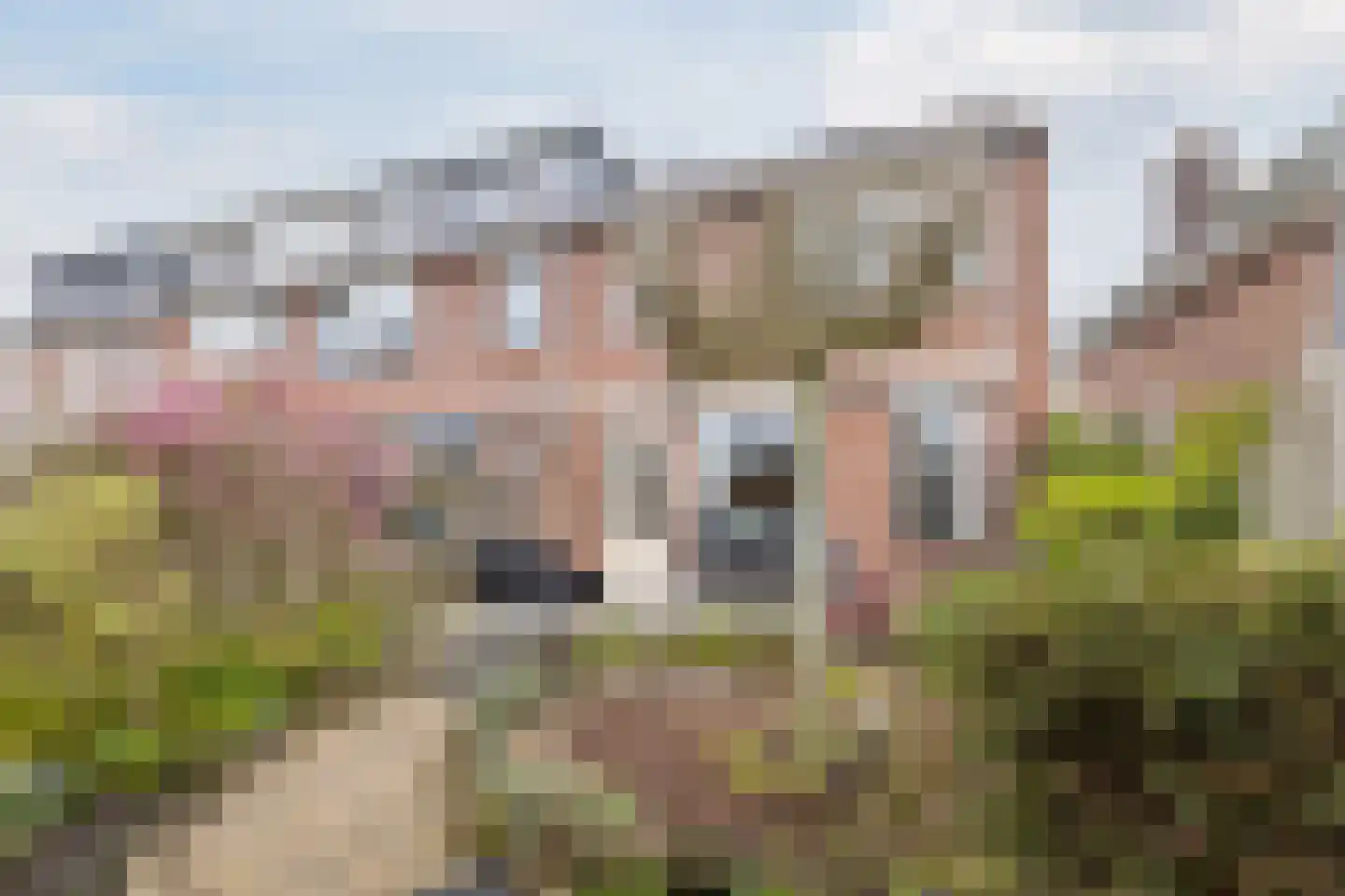 Kleienburg 49 Bodegraven thumbnail 69