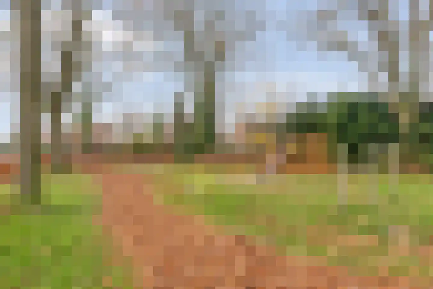 Kleieslaan 2 Oldenzaal thumbnail 35