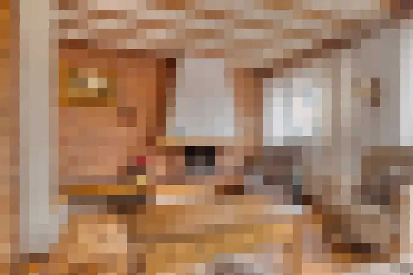 Kleieslaan 2 Oldenzaal thumbnail 7
