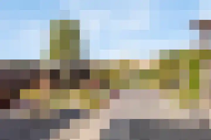 Kleieslaan 5 Oldenzaal thumbnail 16