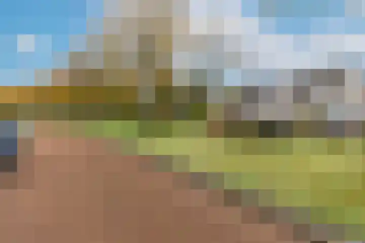 Kleiheuvel 18 Best thumbnail 38