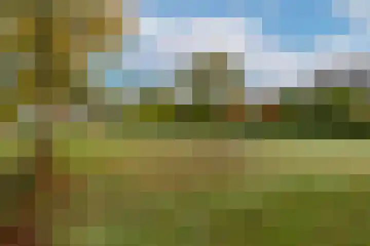 Kleiheuvel 18 Best thumbnail 40