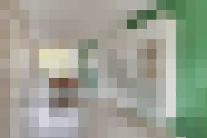 Kleiheuvel 18 Best thumbnail 5