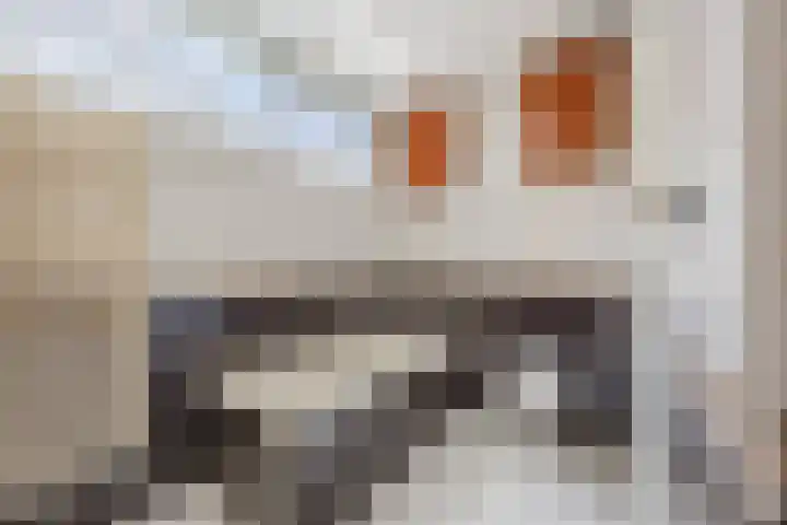 Kleiheuvel 4 Best thumbnail 35